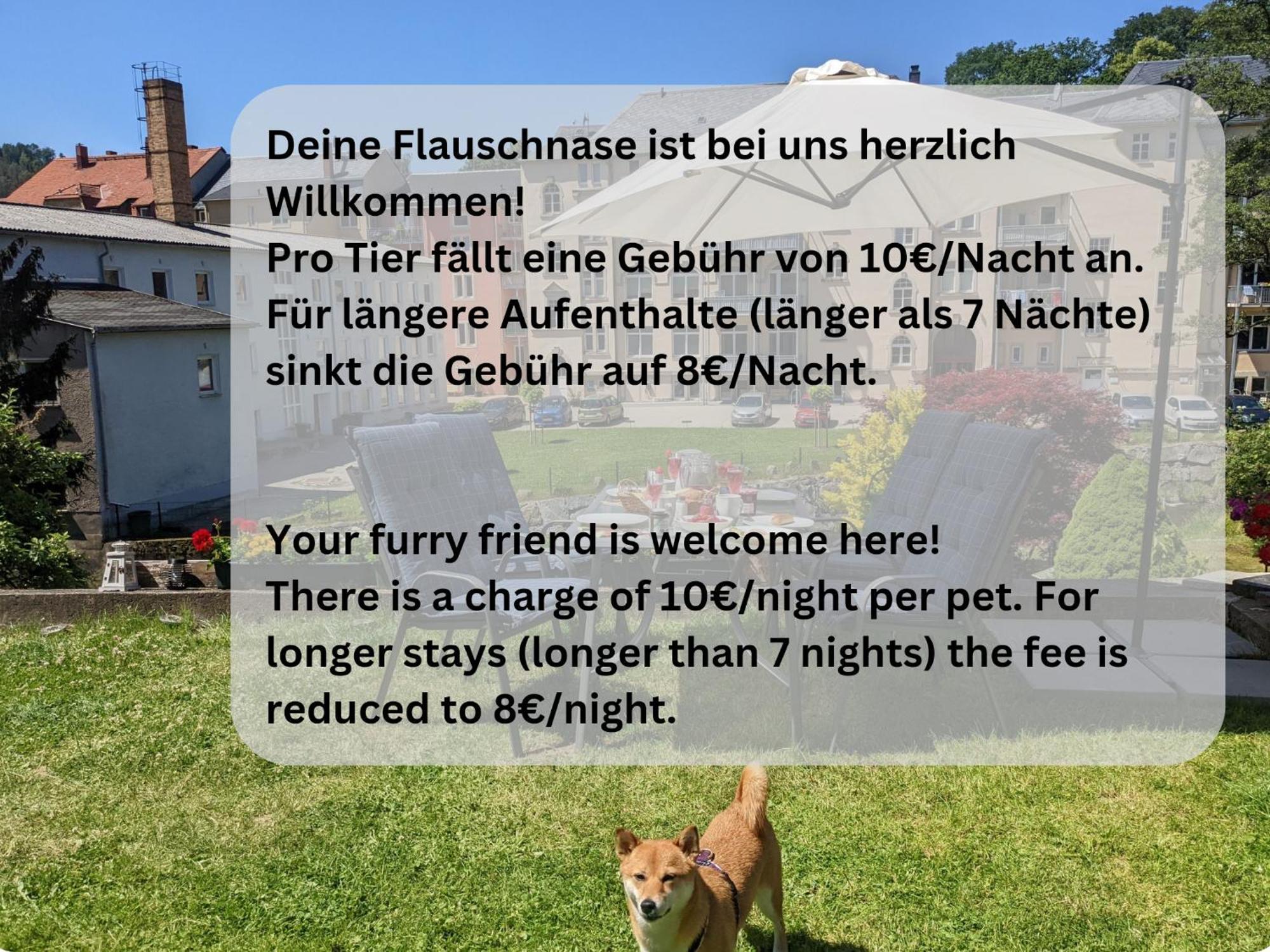 Hw2 - Urlaubsmagie - Sauna & Whirlpool Fuer Alle Sebnitz Exteriér fotografie